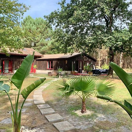 Hacienda De La Canopee Avec Piscine Chauffee Au Sel 우르탱 외부 사진