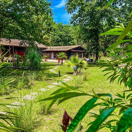 Hacienda De La Canopee Avec Piscine Chauffee Au Sel 우르탱 외부 사진
