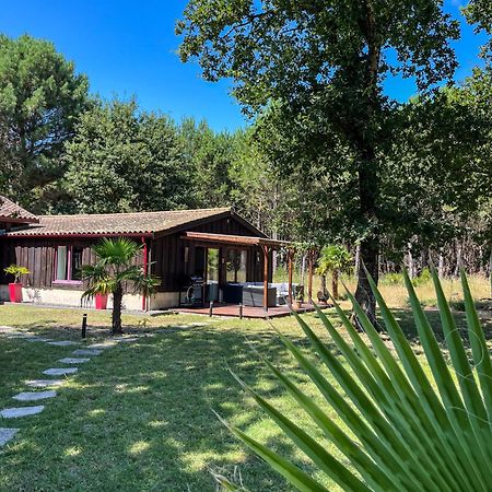 Hacienda De La Canopee Avec Piscine Chauffee Au Sel 우르탱 외부 사진
