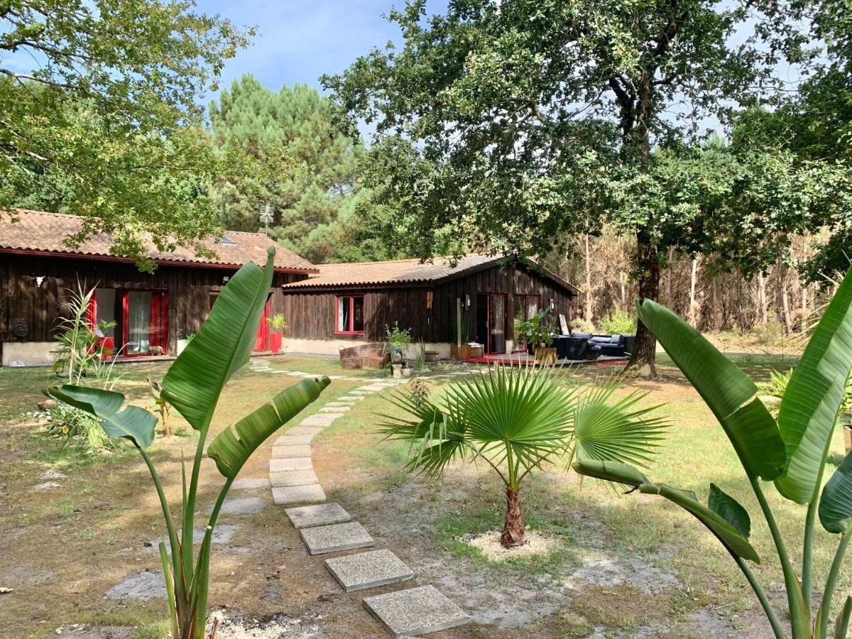 Hacienda De La Canopee Avec Piscine Chauffee Au Sel 우르탱 외부 사진