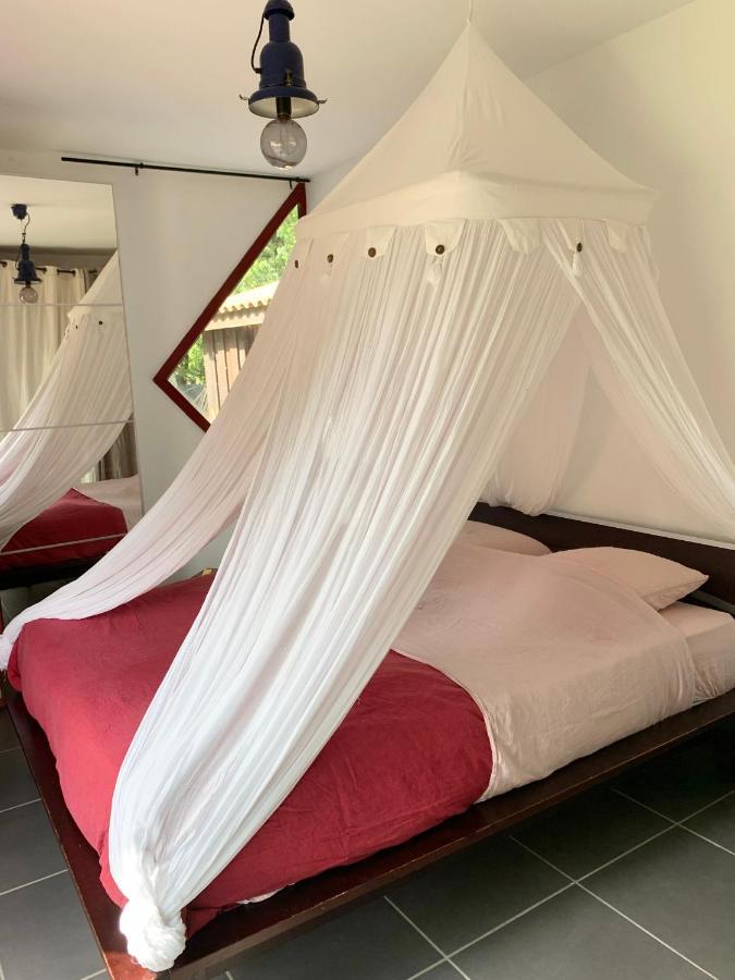 Hacienda De La Canopee Avec Piscine Chauffee Au Sel 우르탱 외부 사진