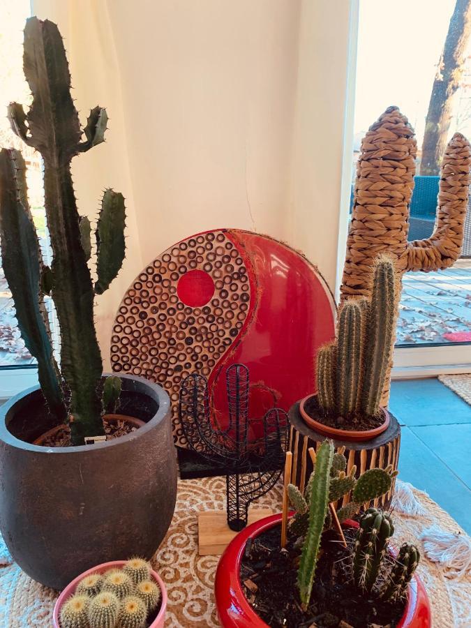 Hacienda De La Canopee Avec Piscine Chauffee Au Sel 우르탱 외부 사진